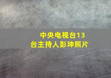 中央电视台13台主持人彭坤照片