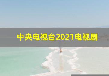 中央电视台2021电视剧