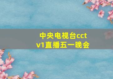 中央电视台cctv1直播五一晚会