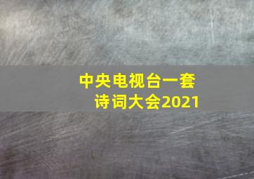 中央电视台一套诗词大会2021