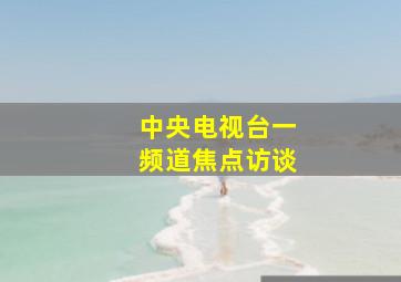 中央电视台一频道焦点访谈