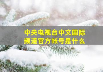 中央电视台中文国际频道官方帐号是什么