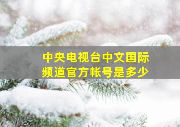 中央电视台中文国际频道官方帐号是多少