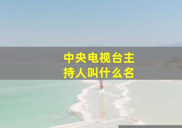 中央电视台主持人叫什么名