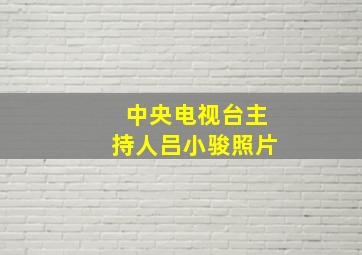 中央电视台主持人吕小骏照片