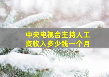 中央电视台主持人工资收入多少钱一个月