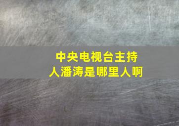 中央电视台主持人潘涛是哪里人啊