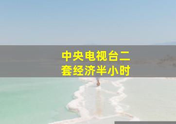 中央电视台二套经济半小时