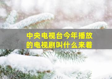 中央电视台今年播放的电视剧叫什么来着