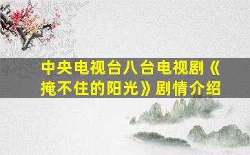 中央电视台八台电视剧《掩不住的阳光》剧情介绍