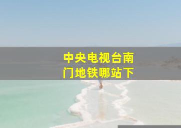 中央电视台南门地铁哪站下