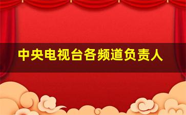 中央电视台各频道负责人