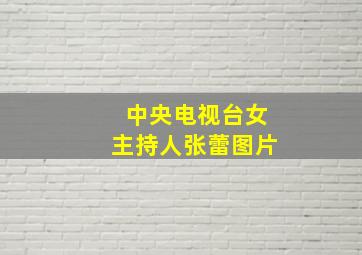 中央电视台女主持人张蕾图片