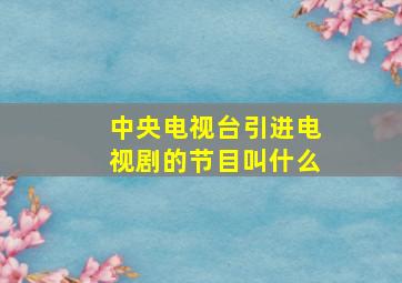 中央电视台引进电视剧的节目叫什么