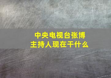 中央电视台张博主持人现在干什么