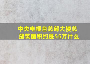 中央电视台总部大楼总建筑面积约是55万什么