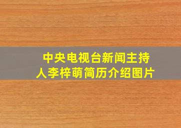 中央电视台新闻主持人李梓萌简历介绍图片