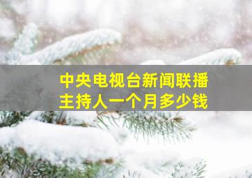 中央电视台新闻联播主持人一个月多少钱