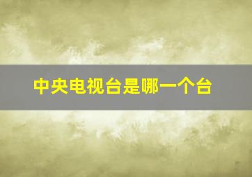 中央电视台是哪一个台