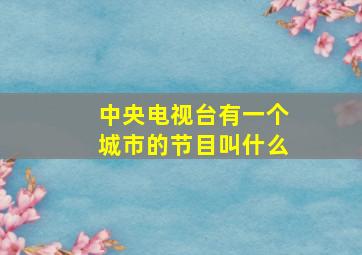 中央电视台有一个城市的节目叫什么