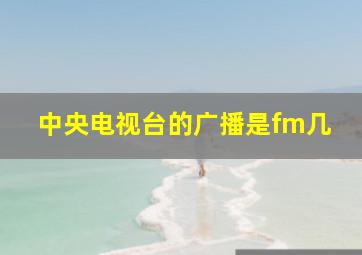 中央电视台的广播是fm几