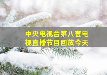 中央电视台第八套电视直播节目回放今天