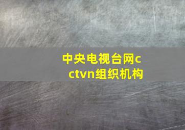 中央电视台网cctvn组织机构