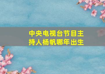 中央电视台节目主持人杨帆哪年出生