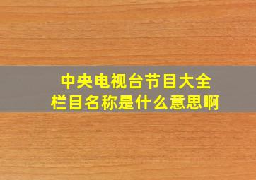 中央电视台节目大全栏目名称是什么意思啊