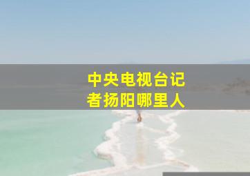 中央电视台记者扬阳哪里人