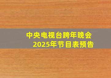 中央电视台跨年晚会2025年节目表预告