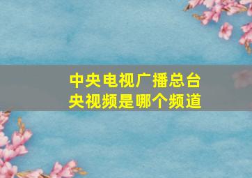 中央电视广播总台央视频是哪个频道