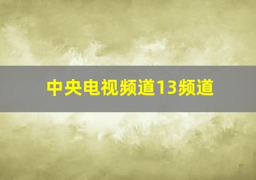 中央电视频道13频道