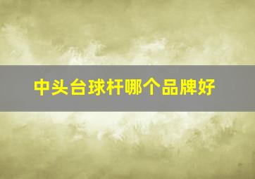 中头台球杆哪个品牌好