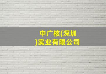 中广核(深圳)实业有限公司