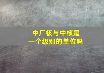 中广核与中核是一个级别的单位吗