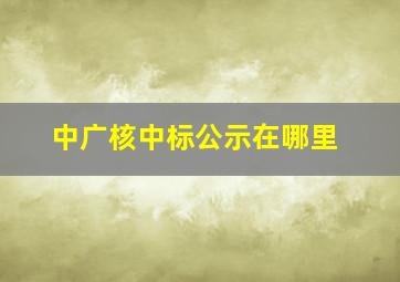 中广核中标公示在哪里