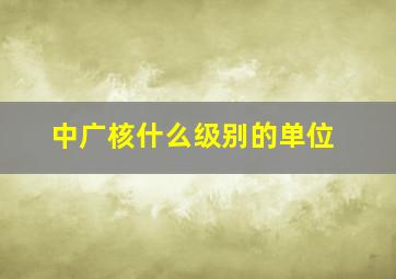 中广核什么级别的单位