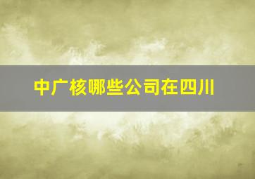 中广核哪些公司在四川