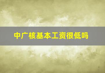 中广核基本工资很低吗