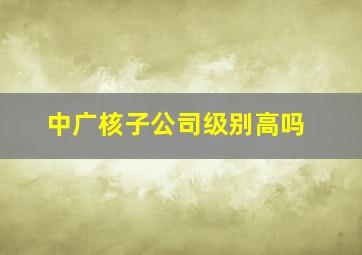 中广核子公司级别高吗