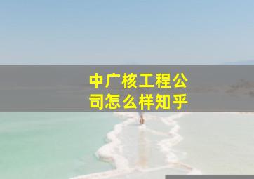 中广核工程公司怎么样知乎