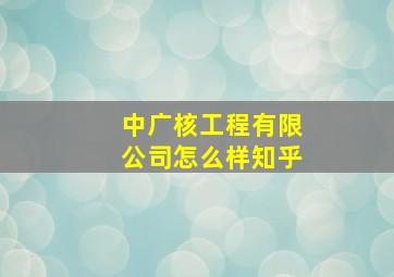 中广核工程有限公司怎么样知乎