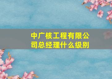 中广核工程有限公司总经理什么级别