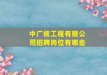 中广核工程有限公司招聘岗位有哪些