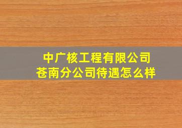 中广核工程有限公司苍南分公司待遇怎么样