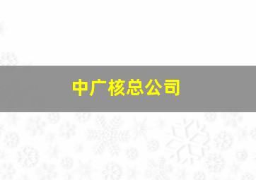 中广核总公司