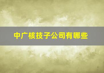 中广核技子公司有哪些