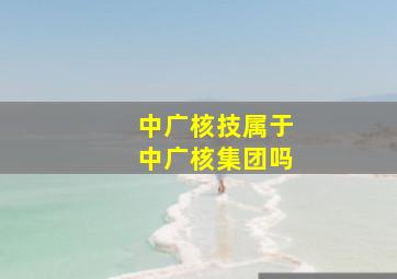 中广核技属于中广核集团吗