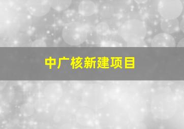 中广核新建项目